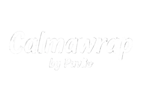 Puvlio